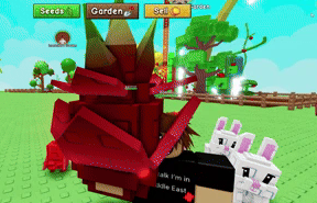 Dragon Fruit produce